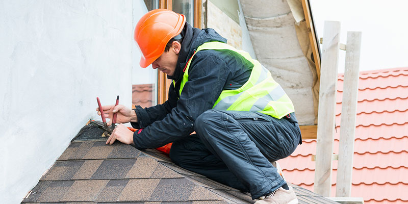 Roofing Contractor in Carrollwood, Florida