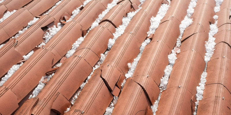 Hail Damage in Tampa, Florida