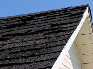 Warning Signs You Need Roof Repair