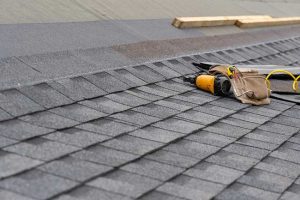 Why You Should Hire Professionals for Your Roof Installation Needs