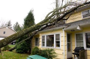 How to Deal with Storm Damage