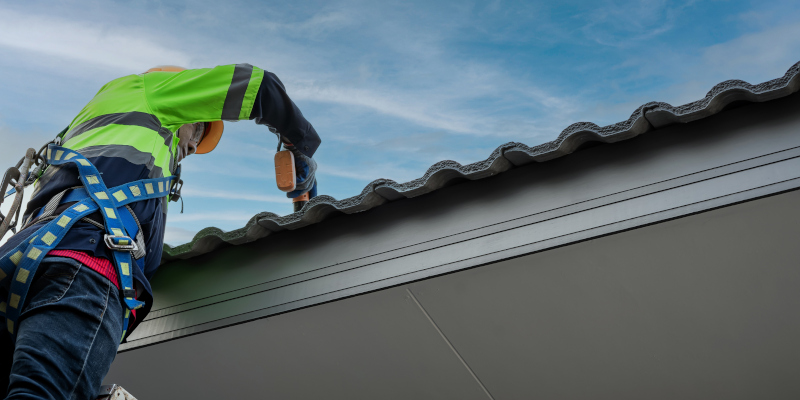 Local Roofers in Tampa, Florida