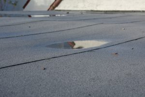 What a Commercial Roof Inspection May Reveal