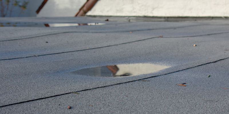 What a Commercial Roof Inspection May Reveal