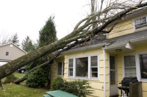 What Counts as Storm Damage?