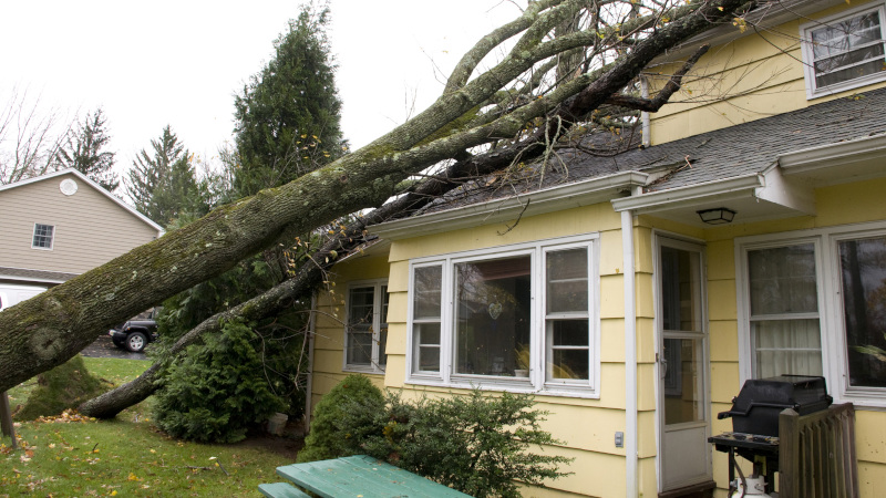 What Counts as Storm Damage?