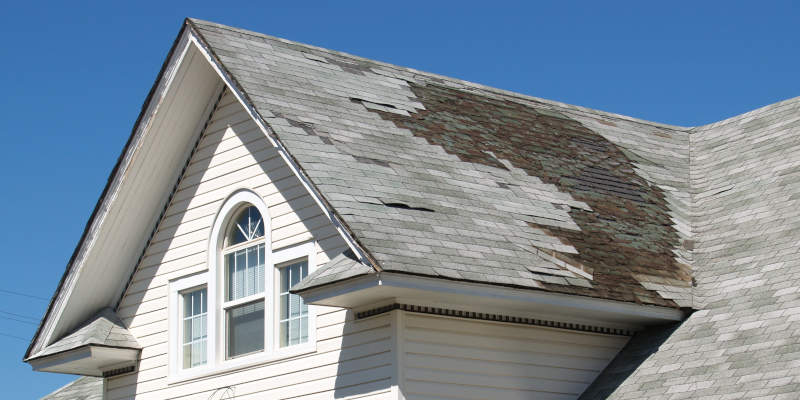 5 Warning Signs You Need Professional Residential Roofing Help Now